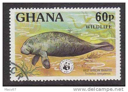 Ghana 624  (o)   FAUNA  MANATEE - Ghana (1957-...)