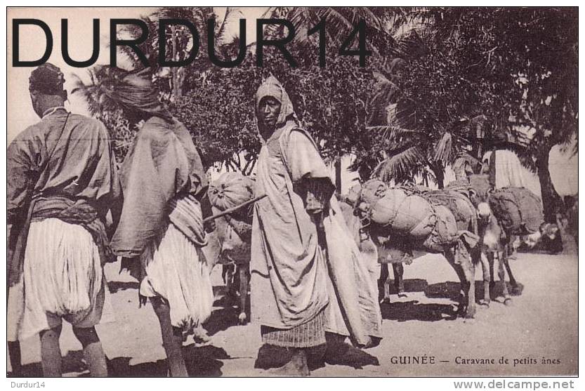 GUINÉE ( Afrique ).  Caravanne De Petits Anes - Guinea