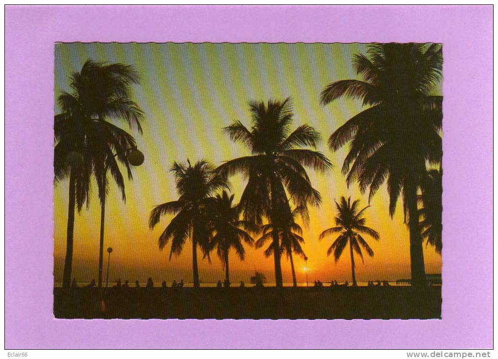 PHILIPPINES MANILLE   CPM  Année 1994  Sunset  Along  Roxas Boulvard - Filipinas