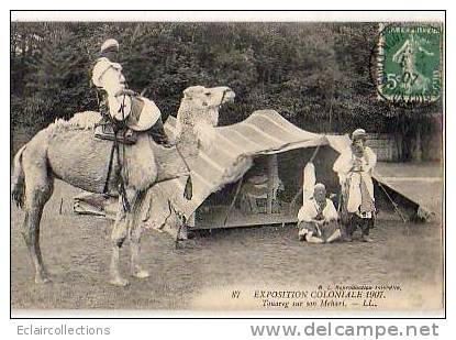 EXPOSITION COLONIALE  1907 ...touareg Et Son Méhari .Dromadaire - Ausstellungen