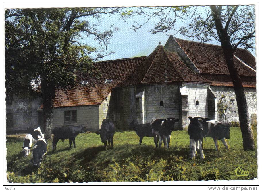 Carte Postale 80.  Saint-Riquier  Drugy  Prison De Jeanne D'Arc  Vaches En Pâturage Trés Beau Plan - Saint Riquier