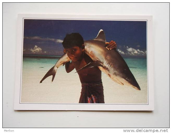 Maldives - White Tipped Reef Shark  Carried By A Young Child    VF  D61259 - Maldives