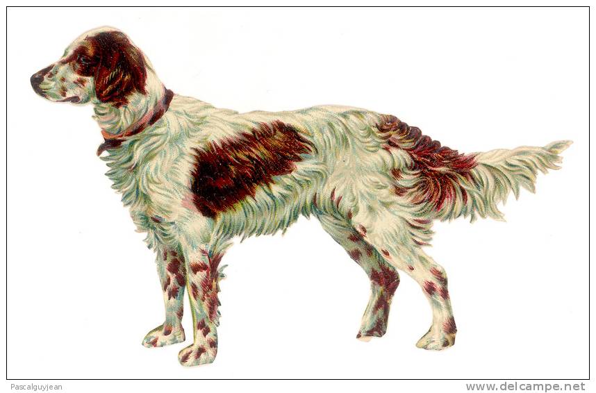 DECOUPI ANCIEN CHIEN - SETTER ANGLAIS - Tiere