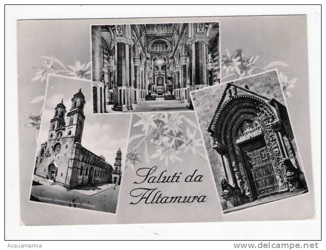 ALTAMURA - Saluti Da - Cartolina FG BN V 1955 - Altamura