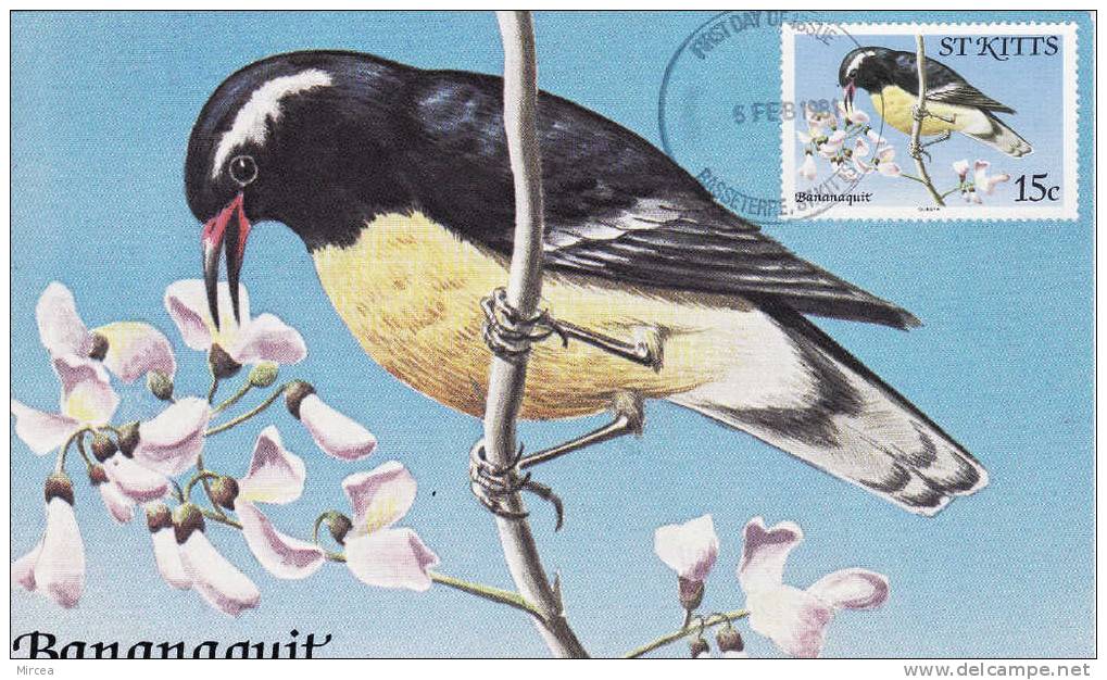 C3446  - St. Kitts 1981 -  Carte Maximum  Oiseaux - St.Kitts-et-Nevis ( 1983-...)