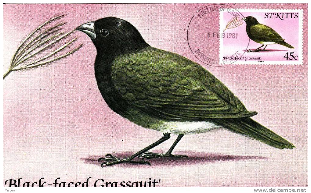 1621 - St. Kitts 1981 -  Carte Maximum , Oiseaux - St.Kitts En Nevis ( 1983-...)