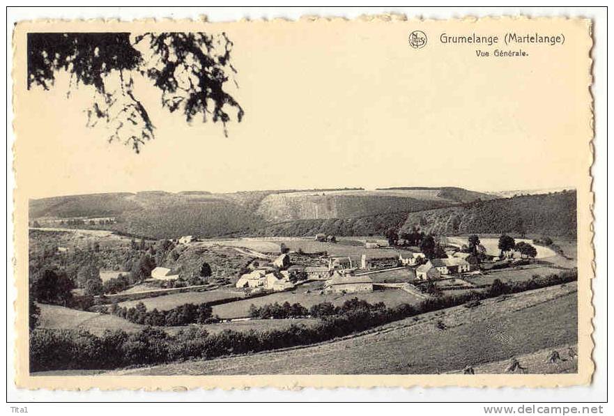 12308 - Grumelange - Vue Générale - Martelange