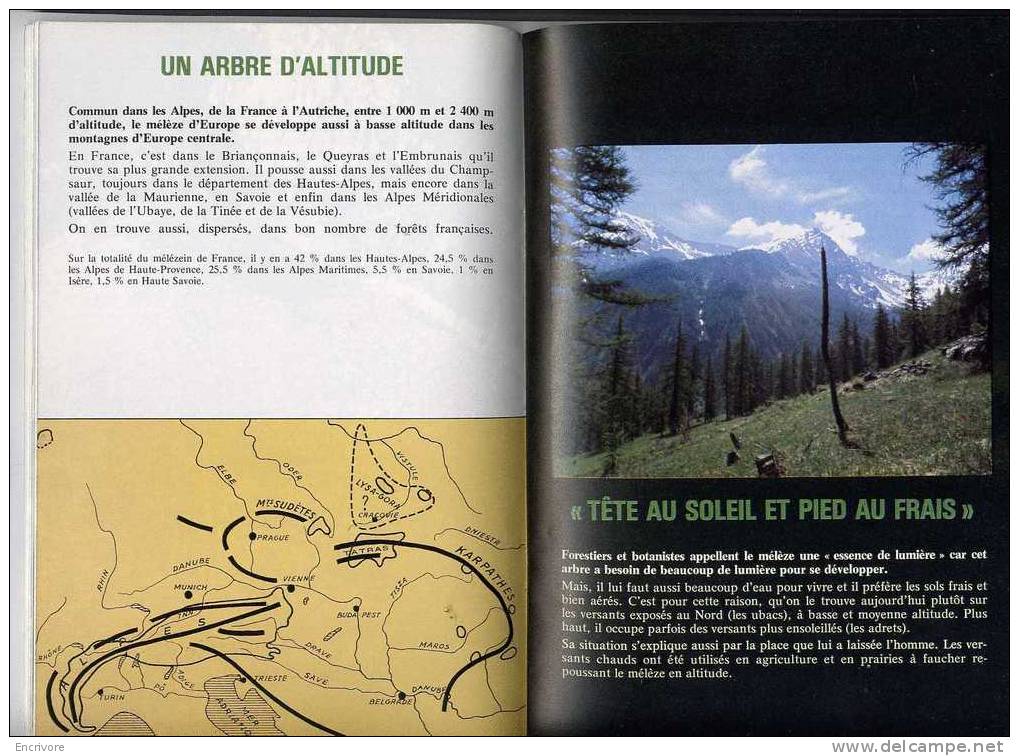 BT 939 LE MELEZE Melezein à Vallouise - Alpinisme OISANS - Empreintes Lièvre Tetras Lyre - Alpes - Pays-de-Savoie