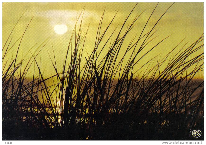 Carte Postale 62. Wissant  Prés Du Cap Gris-Nez Trés Beau Plan - Wissant