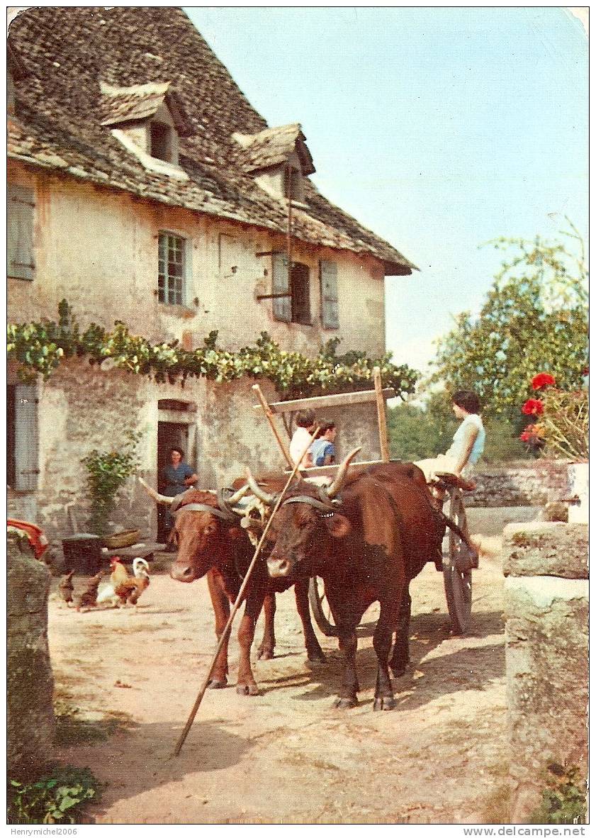 Fermes , Départ Vers Le Vignoble Pub Pour Le Vin Sain Et Net , Ed Les Docks Lyonnais "vignes Et Chais"n2 - Granja