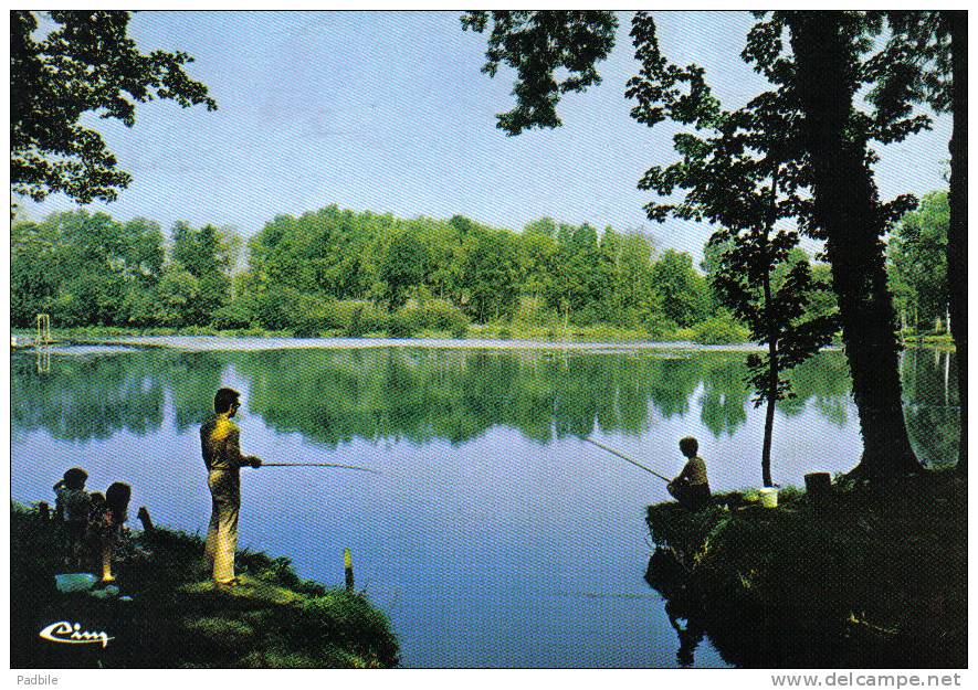 Carte Postale 91. Ballancourt  Pêche Sur L'étang Trés Beau Plan - Ballancourt Sur Essonne