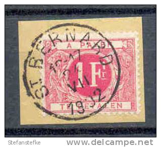 Belgie -  Belgique Ocb Nr : TX 10 ST BERNARD  (zie  Scan) - Stamps