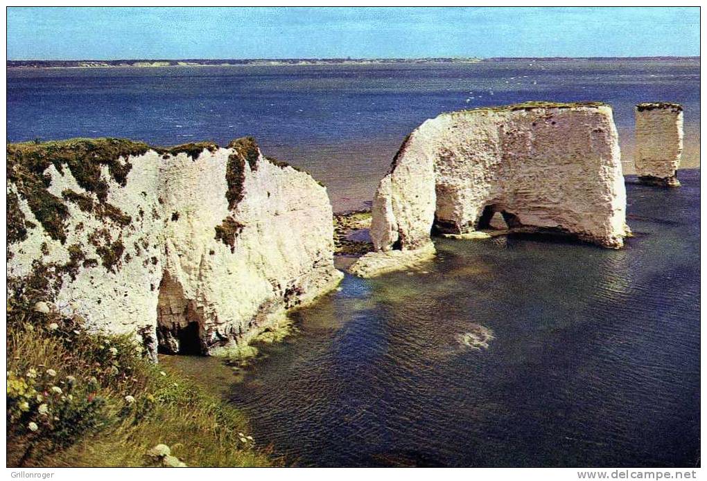 ANGLETERRE (old Harry Rocks, Near Studland, Dorset) - Other & Unclassified