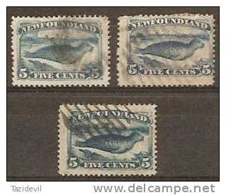 NEWFOUNDLAND - 1887-94 Three X 5c Used Seals, All Appear Different Shades, Right Stamp Is Damaged On Reverse - 1865-1902