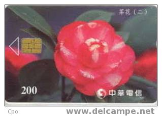 # TAIWAN 905C Flower 200 Puce? -flowers,fleurs-  Tres Bon Etat - Taiwán (Formosa)