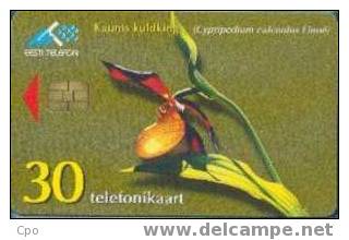 # ESTONIA ET90 Kaunis Kuldking 30 ? 07.98 Tres Bon Etat -flore,flowers,fleurs- - Estland