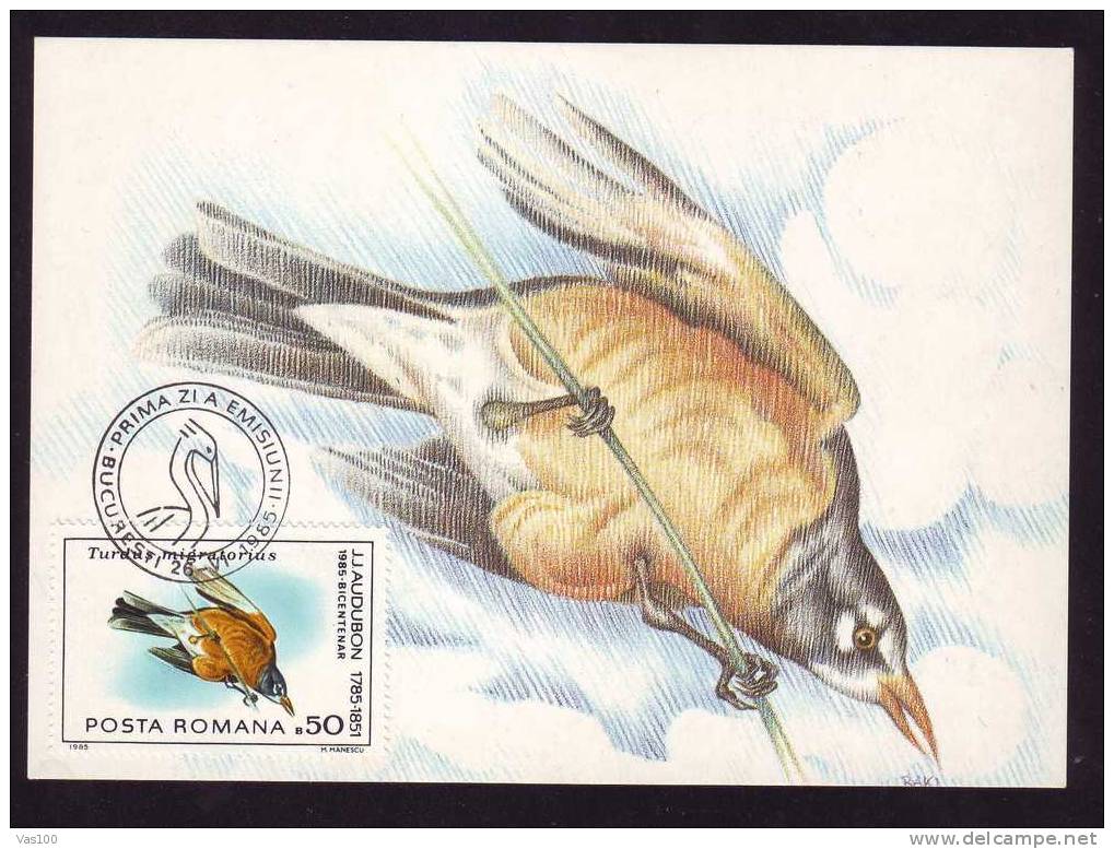 Maximum Card,"Turdas Migratorius",Maxicard BIRD AUDUBON 1985, Nice, ROMANIA. - Sparrows