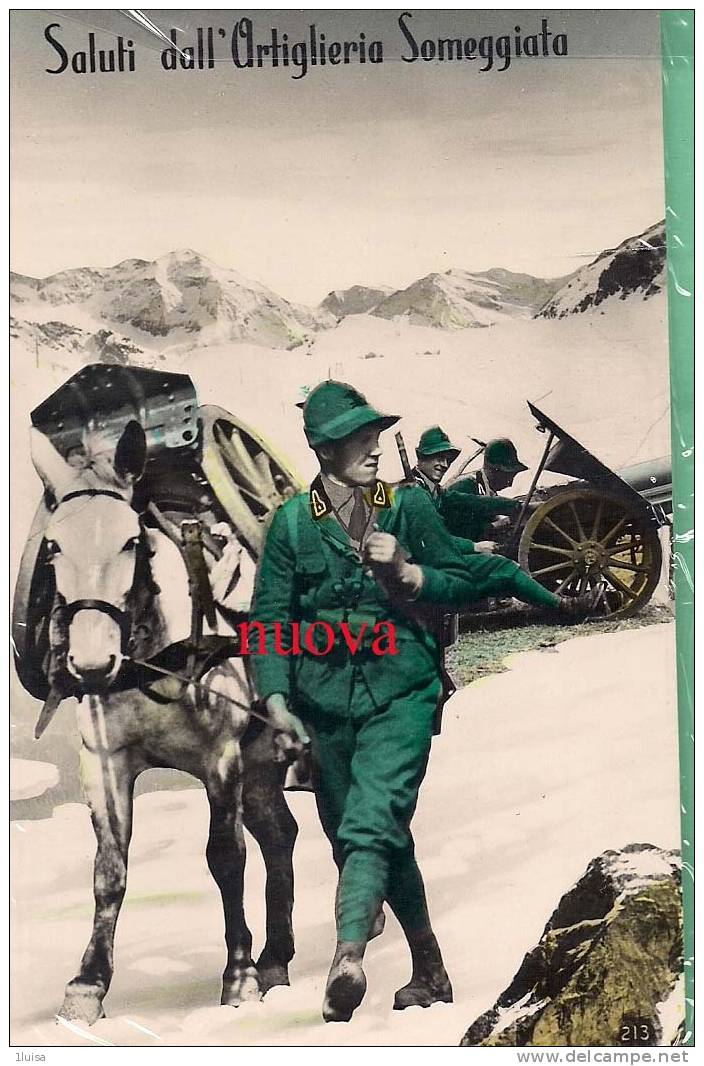 ALPINI Saluti Dall'artiglieria Sommeggiata - Oorlog 1914-18