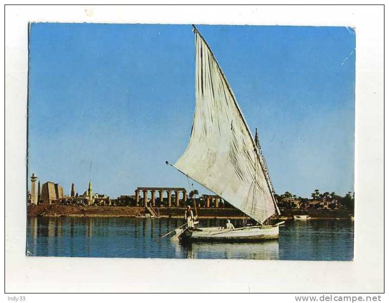 - EGYPTE . LOUXOR . VUE DU NIL - Luxor