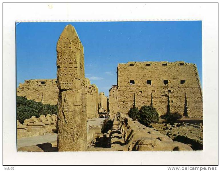 - EGYPTE . KARNAK . ALLEE DES SPHINXES - Other & Unclassified