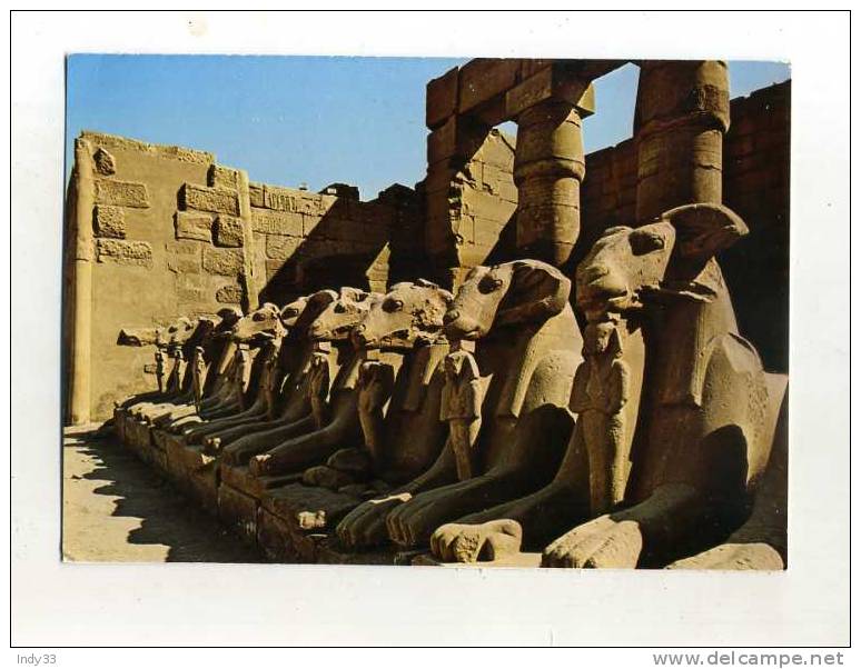 - EGYPTE . TEMPLE DE KARNAK . SPHINXES AVEC TÊTE DE BELIER - Luxor