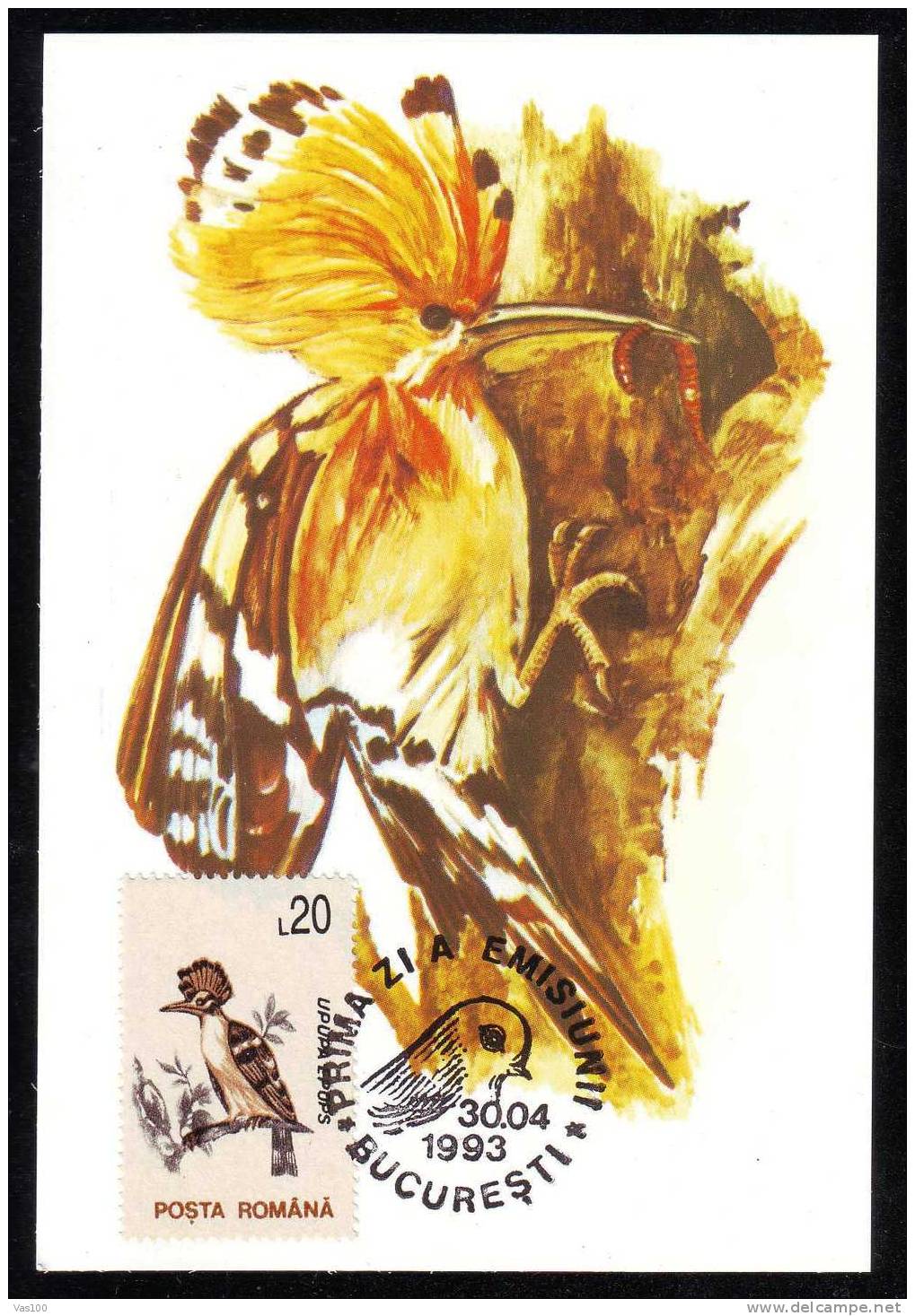 "UPUPA EPOPS" :MAXIMUM CARD, Bird Grimpeur 1993, – FDC Cancell,Romania. - Piciformes (pájaros Carpinteros)