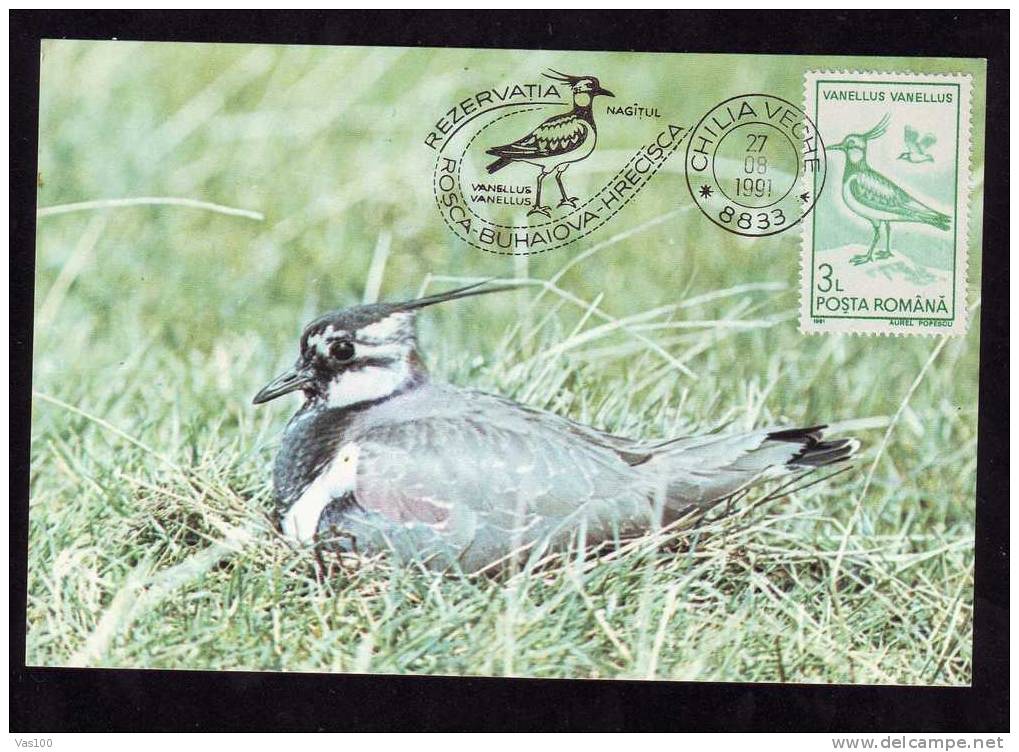 Maximum Card,"Vanellus Vanellus",Maxicard BIRD Nagat 1991, Nice,Romania. - Seagulls