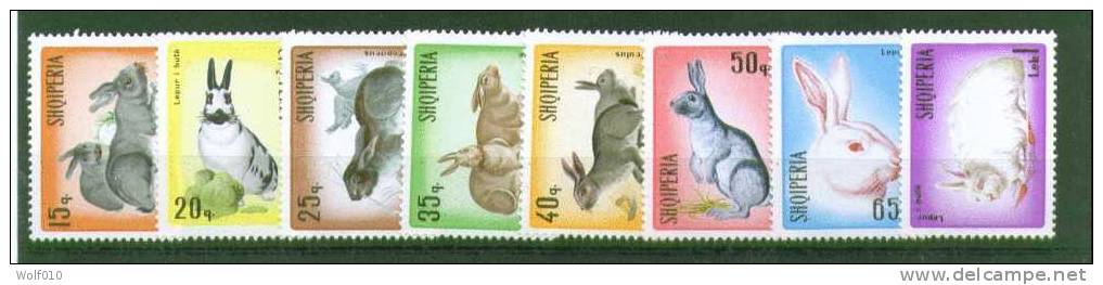 Albania. 1967. Rabbits. MH Set. SCV = 9.95 - Lapins