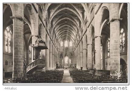 BAZAS Intérieur De La Cathédrale La Grande Nef - Bazas