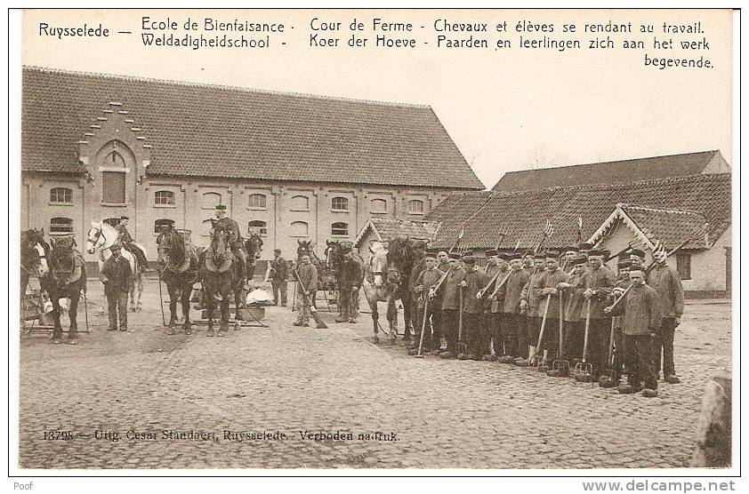 Ruiselede / Ruysselede : Weldadigheidschool--Koer Der Hoeve--paarden En Leerlingen - Ruiselede