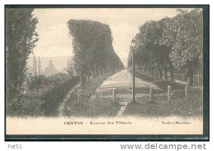 78 - Chatou : Avenue Des Tilleuls - Chatou