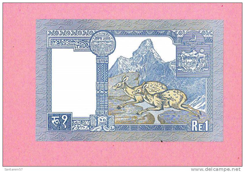 Billet De Banque Nota 1 Roupie Banknote Bill NEPAL - Nepal