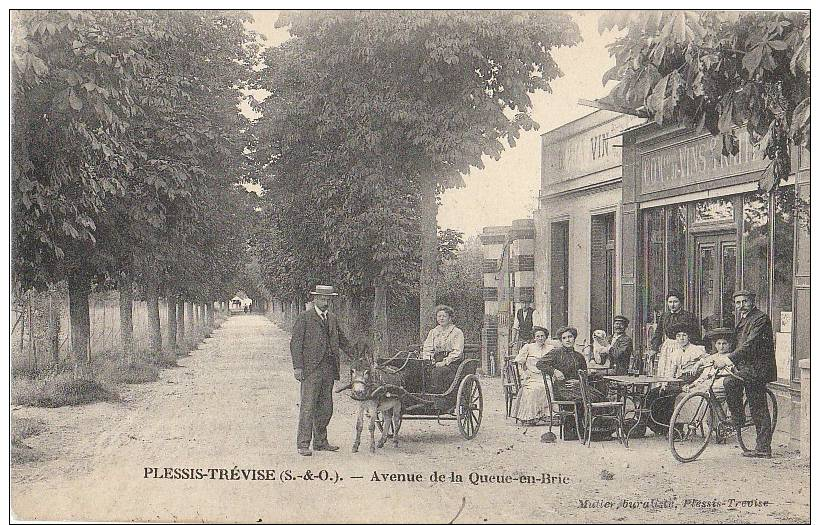 CPA 94 LE PLESSIS TREVISE Avenue De La Queue En Brie Café Buvette Charrette à Ane Animation 1906 - Le Plessis Trevise