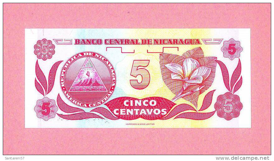 Billet De Banque Nota Banknote Bill 5 Cinco Centavos De Cordoba NICARAGUA - Nicaragua