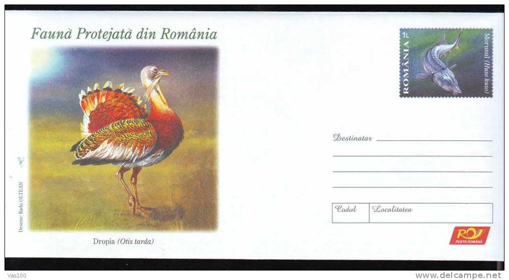 2009 Stationery Cover,bird; "OTIS TARDA", Fish, Ptotected Fauna , Very Nice Romania. - Gallinacées & Faisans