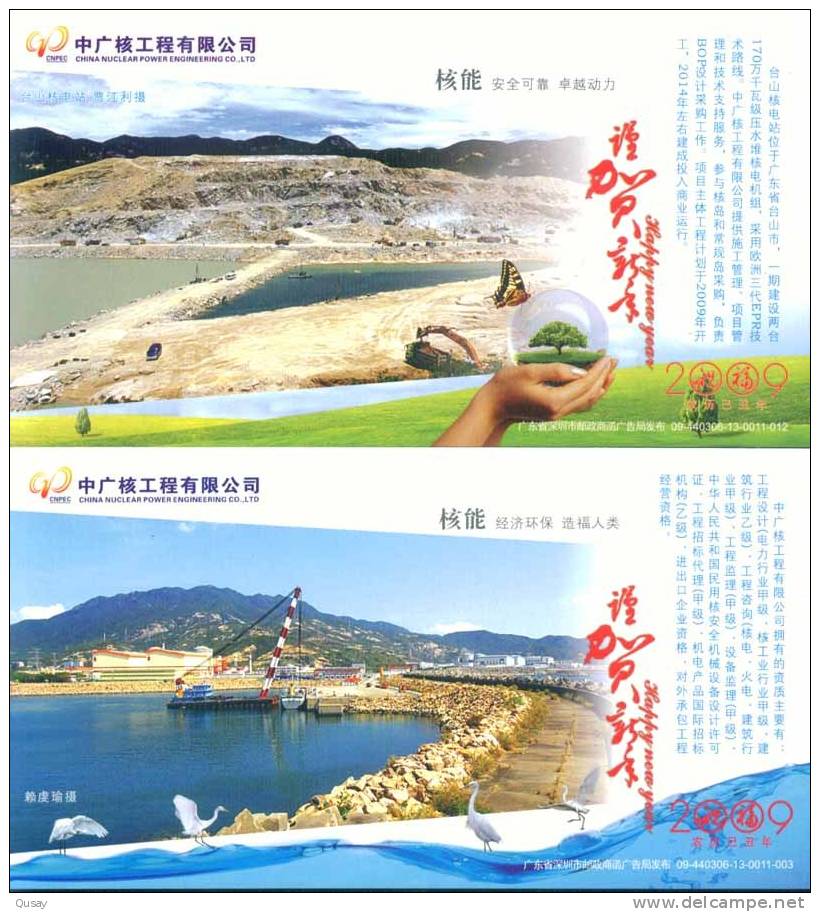 Atom Dragonfly Bird China Nuclear Power Engineering Co. , 12 Prepaid Cards , Postal Stationeries - Atome