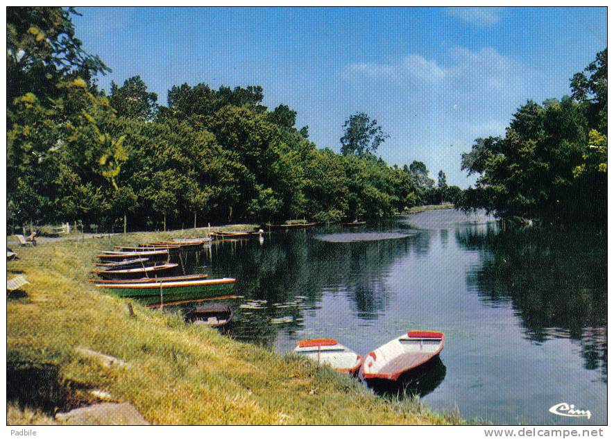 Carte Postale 49. Chateauneuf-sur-Sarthe  Canotage Sur La Sarthe Trés Beau Plan - Chateauneuf Sur Sarthe