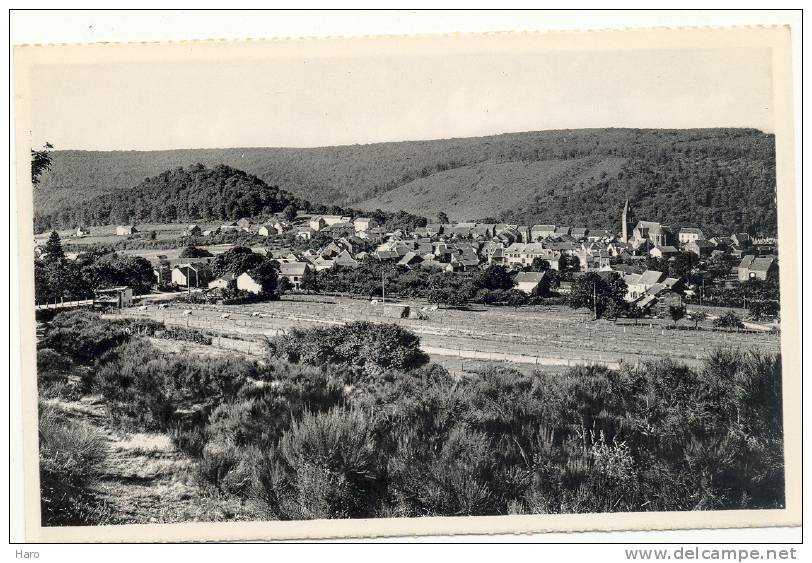 HERBEUMONT - Sur - SEMOIS Vu De La Route De St-Médard  (53) - Herbeumont