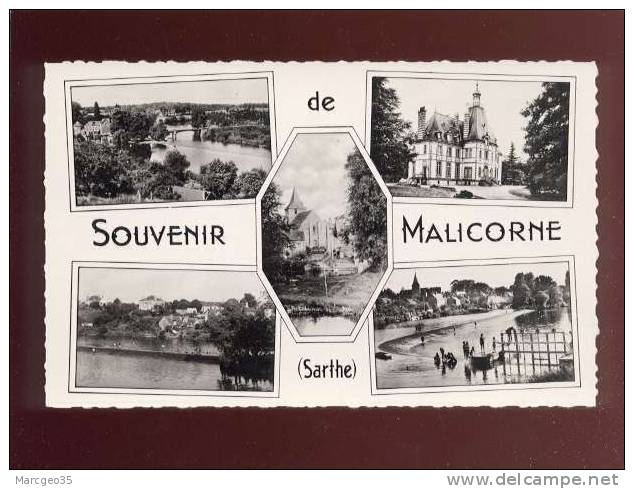 Souvenir De Malicorne Multivue édfit.dolbeau Belle Cpsm - Malicorne Sur Sarthe