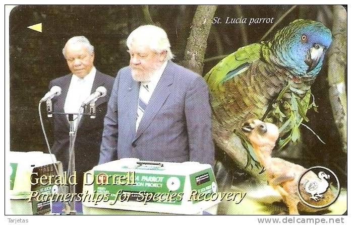 JER-140 TARJETA DE JERSEY DE GERALD DURRELL  (46JERJ)   LORO-PARROT - Jersey En Guernsey