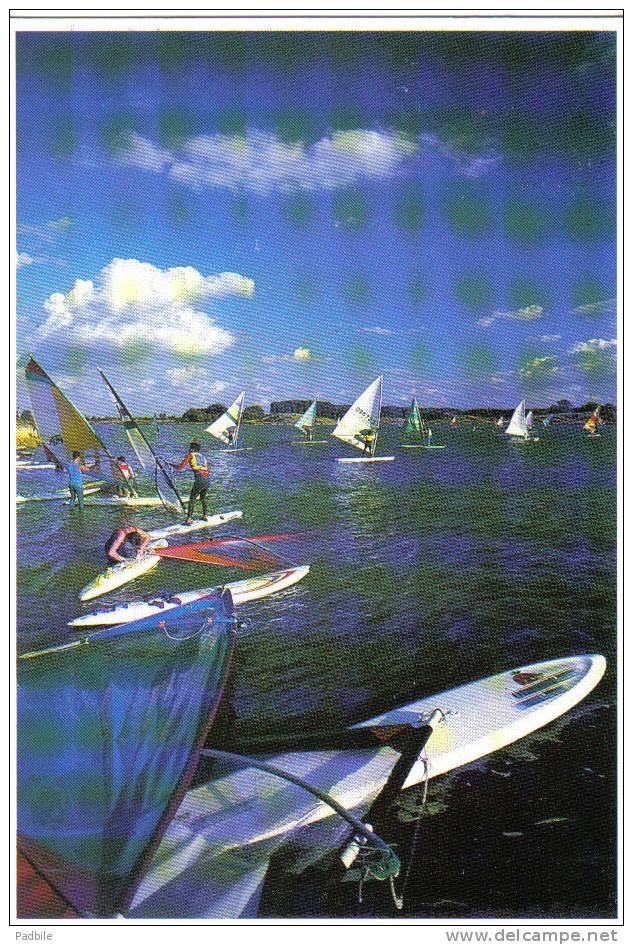 Carte Postale 59.  Villeneuve D´Ascq  Base De Voile  Trés  Beau Plan - Villeneuve D'Ascq