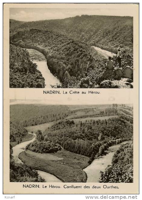 CP De NADRIN ( Par Wibrin ) " Hôtel Du Point De Vue / La Crête Au Hérou & Le Hérou . Confluent Des Deux Ourthes " . - Houffalize