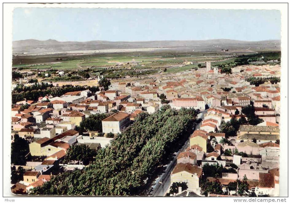 *822*  RIVESALTES : Vue Generale - Rivesaltes