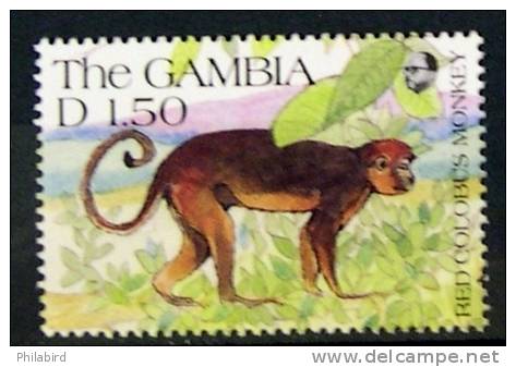 GAMBIE          N° 1153        NEUF** - Singes