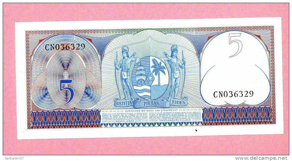 Billet De Banque Nota Banknote Bill 5 VIJF GULDEN CENTRALE BANK SURINAME 1963 - Suriname