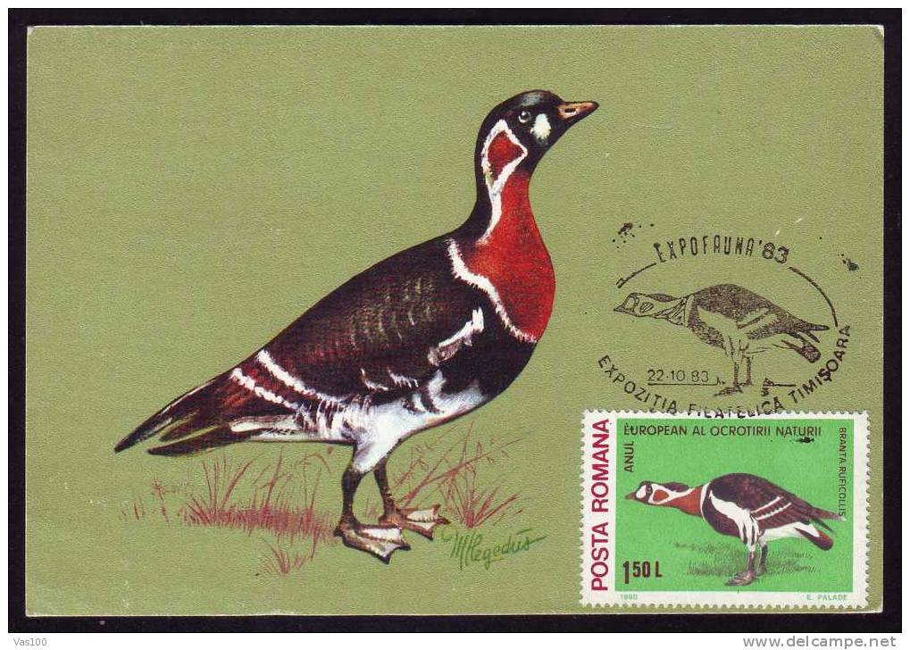 Maximum Card,"Branta Ruficollis",Maxicard BIRD Gasca Cu Gatul Rosu 1983, Nice,Timisoara- ROMANIA. - Oies