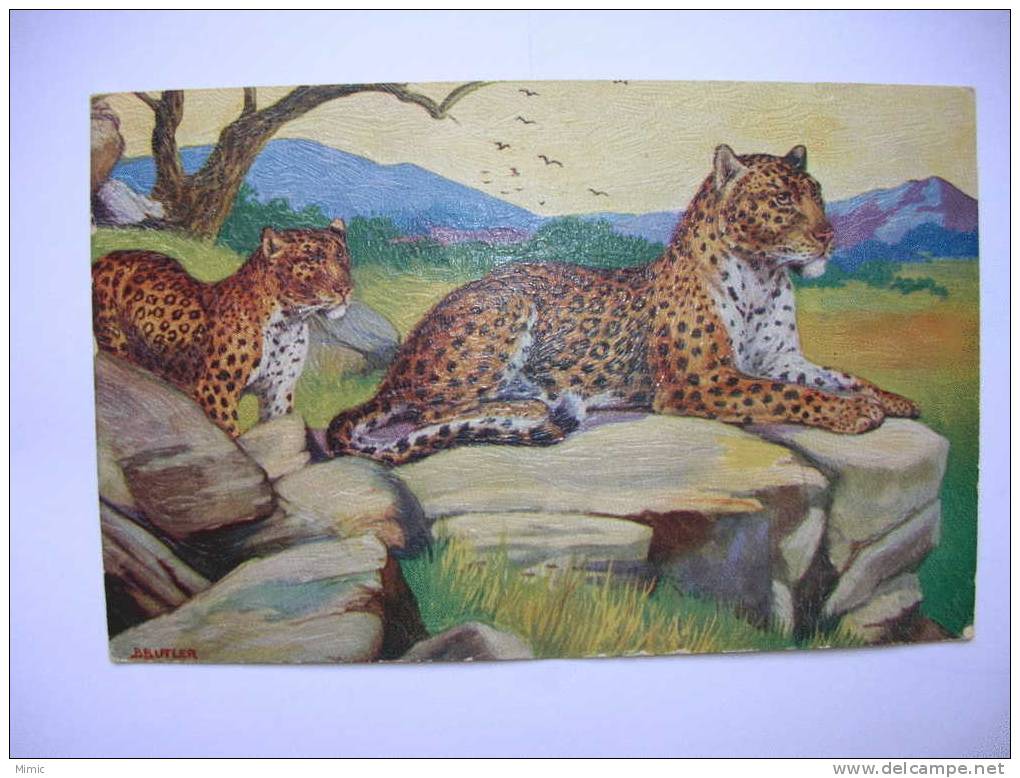 TRES BELLE CPA : LEOPARD (série 3001) Printed In England - Leones