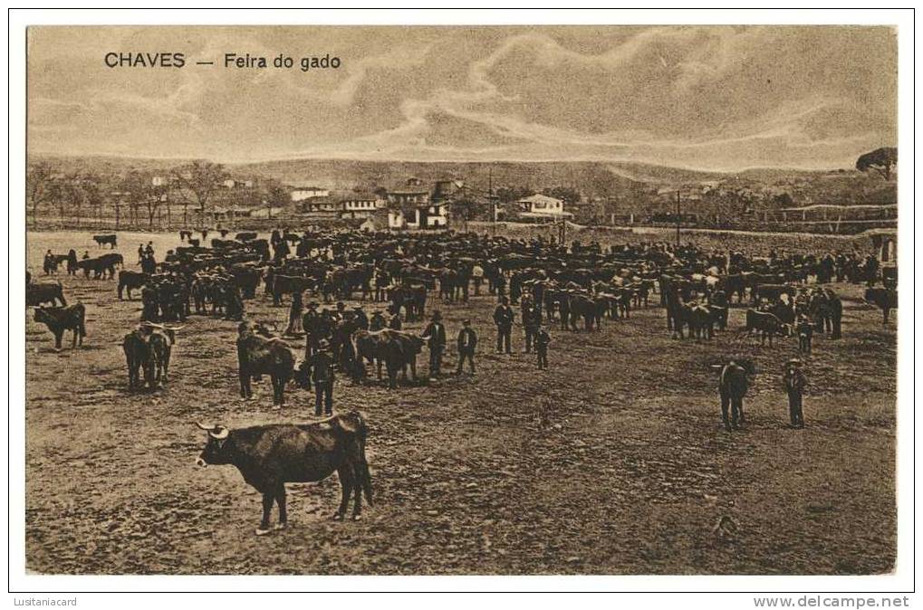 CHAVES - FEIRAS E MERCADOS -  Feira Do Gado Carte Postale - Vila Real