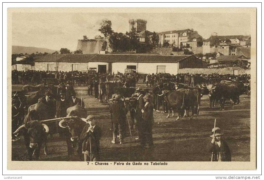 CHAVES - FEIRAS E MERCADOS - Feira Do Gado No Tabolado ( Nº 7) Carte Postale - Vila Real