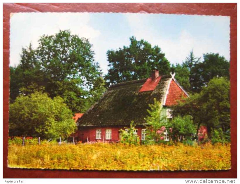 (Lüneburg) - Heide: Heidehaus (Löns Gedenkstätte) - Lüneburger Heide